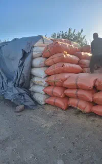 کاه دیم و نرم