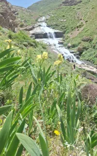 تولید محتوا با هوش مصنوعی