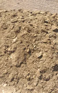 کود گوسفند
