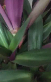 سیمکارت ۰۹۱۲