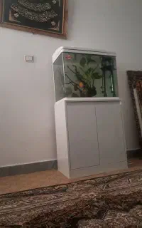 اکواریم