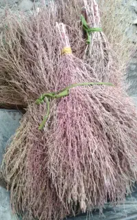 جارو محلی