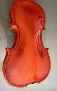ویولن