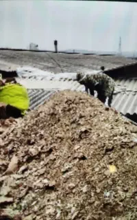 کودمرغ