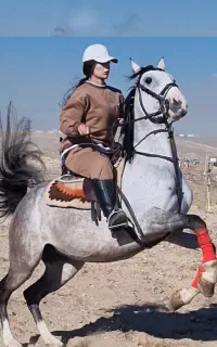 اموزش سوارکاری و اسب سواری