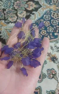 گل کریستالی