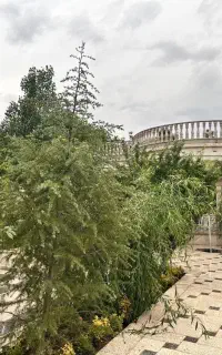 باغ شاهنامه ۱۸