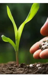 کودهای کشاورزی