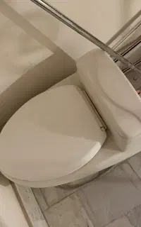 توالت فرنگی