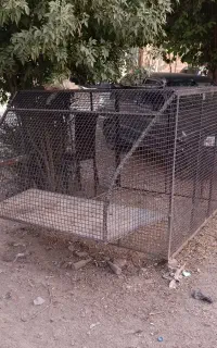 باربند اریسان