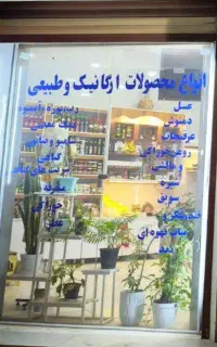 استخدام منشی مسلط به فیلم برداری و گیمبال