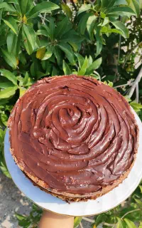 آموزش آنلاین کیک های کافی شاپی