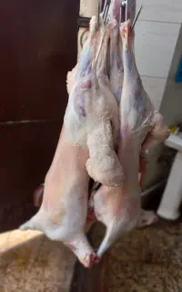قصاب سیار و خوش قول