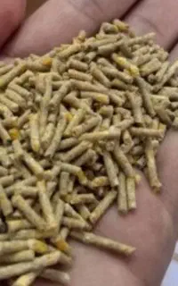 خوراک مرغ و جوجه
