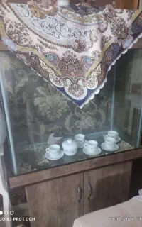 آکواریوم