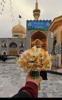 تور مشهد مقدس بلیط  قطار / هواپیما / رزرو هتل