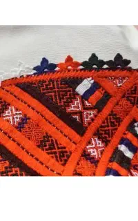 کریشی تمیز