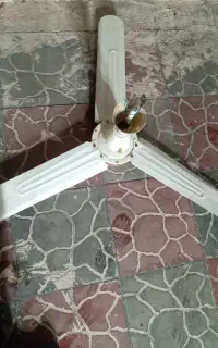 پنکه سقفی ژاپنی در حد نو ناسیونال