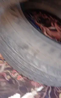 لاستیک بارز
