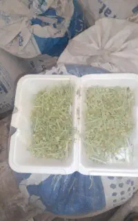 اسفندتمیز