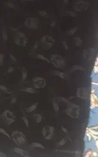 تعدادی پارچه