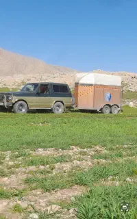 اسب کش اسبکش