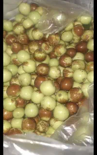 عناب ترد شمال