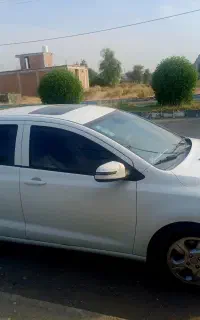 شاهین دنده ای