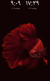 استخدام یه خانم  با تجربه مجرب نیازمندم