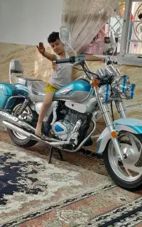 هارلی
