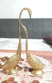 مرغابی و جاشکلاتی برنجی