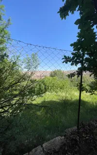 یونجه خشک