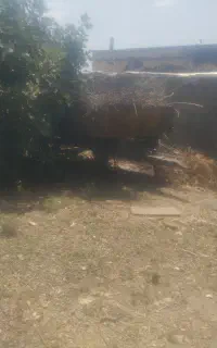 تریلی تراکتور