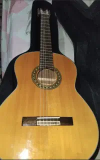 گیتار بست فان Best Fun مدل M256