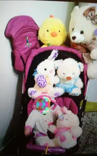 ۲ ست سرویس کالسکه پیرگاردین