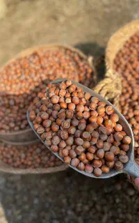 فندق خندان و بوداده