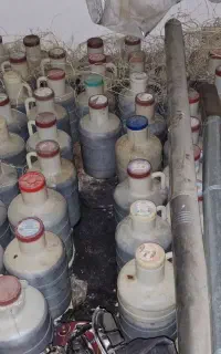 سیر ترشی هفت ساله دارو