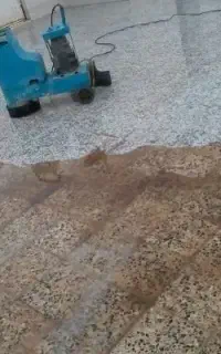 کفسابی دایموند  با تجربه ۳۰ سال