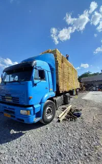 پالت و باکس چوبی رضوان
