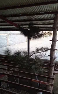 کافه و آشیز خانه ، کارگر ساده