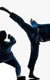 پیاده روی ، دویدن ، رزمی ، والیبال ، دفاع شخصی