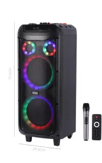 اسپیکر WGY5059