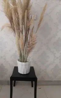 استند وگلدان