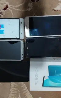 همه گوش اوراقی انرx6