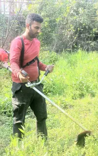 علف تراشی علف زنی