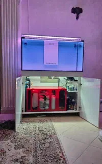 اکواریوم ریملس تولید مستقیم بدون واسطه