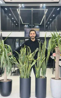 نگهداری و رسیدگی گل و گیاه باغبان ماهانه و هفتگی