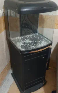 اکواریوم شرکتی