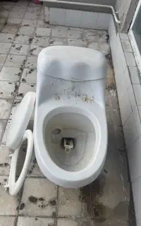 توالت فرنگی cord و روشویی