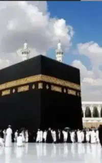 فیش حج